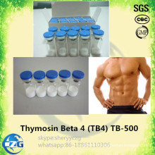 Peptides de gain de muscle de Tb-500 Thymosin Beta 4 Tb 500